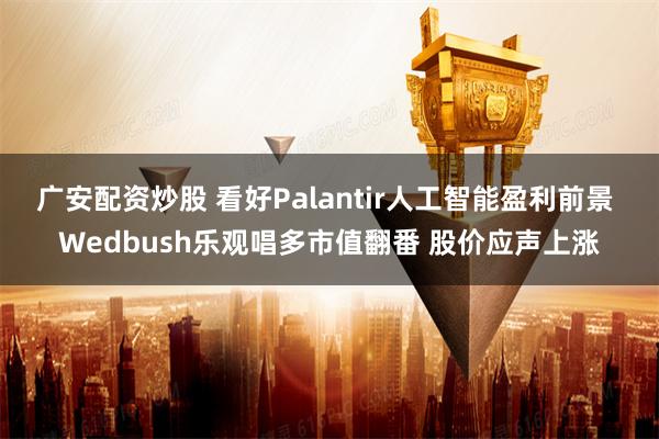 广安配资炒股 看好Palantir人工智能盈利前景 Wedbush乐观唱多市值翻番 股价应声上涨