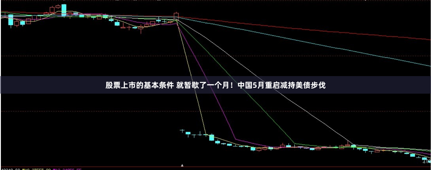 股票上市的基本条件 就暂歇了一个月！中国5月重启减持美债步伐